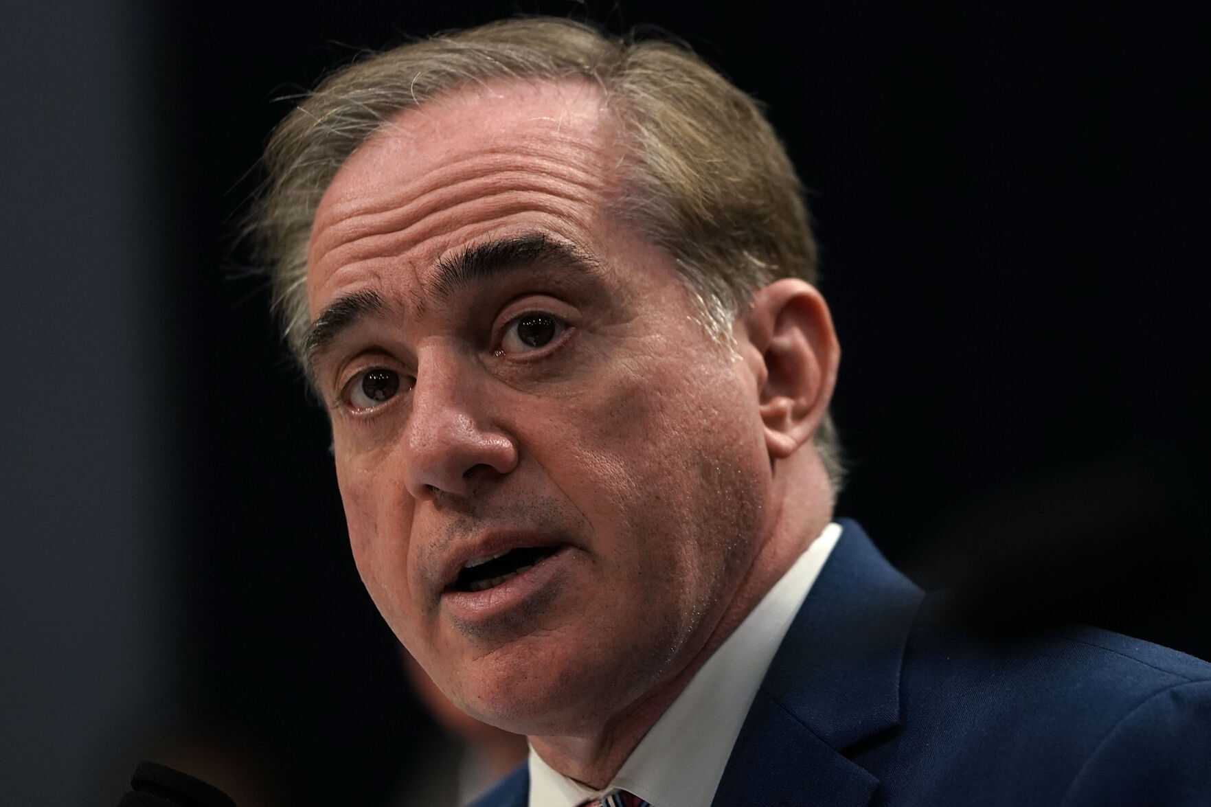 David Shulkin